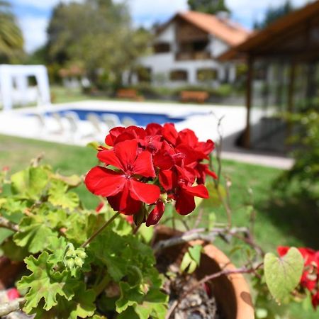 Quinta La Constanza Hotel ตาบาเบลา ภายนอก รูปภาพ